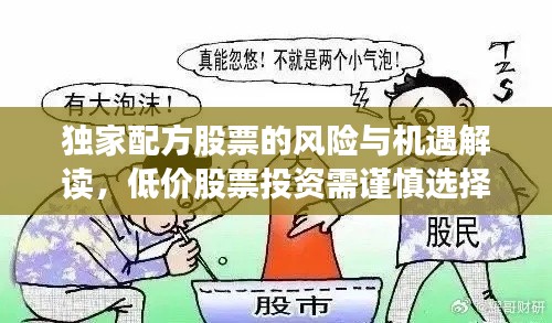 独家配方股票的风险与机遇解读，低价股票投资需谨慎选择！
