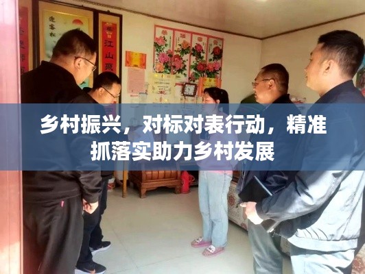 乡村振兴，对标对表行动，精准抓落实助力乡村发展