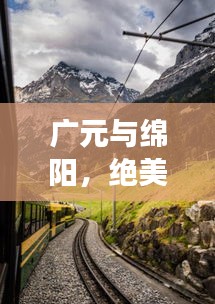 公司简介