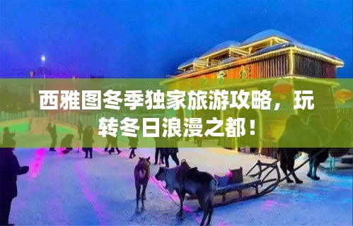 西雅图冬季独家旅游攻略，玩转冬日浪漫之都！