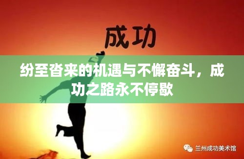纷至沓来的机遇与不懈奋斗，成功之路永不停歇