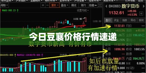 今日豆襄价格行情速递
