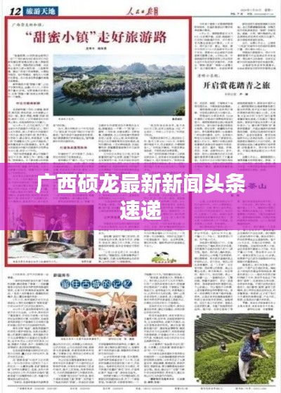 广西硕龙最新新闻头条速递