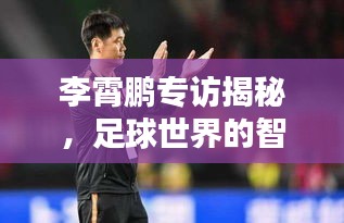 李霄鹏专访揭秘，足球世界的智慧与坚韧之道