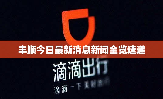 丰顺今日最新消息新闻全览速递