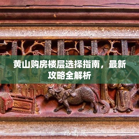 黄山购房楼层选择指南，最新攻略全解析