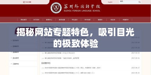 揭秘网站专题特色，吸引目光的极致体验