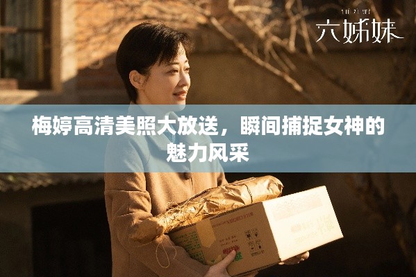 梅婷高清美照大放送，瞬间捕捉女神的魅力风采