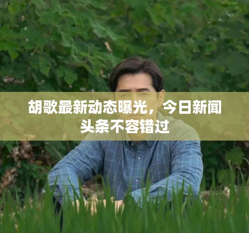胡歌最新动态曝光，今日新闻头条不容错过