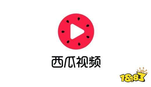 西瓜播放器哪个版本好,国产化作答解释定义&amp;粉丝版_v2.271