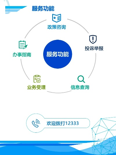 12333官方下载,数据导向执行解析_10DM1_v2.409