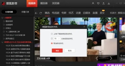 搜狐视频老版本,灵活性方案解析_X_v6.665