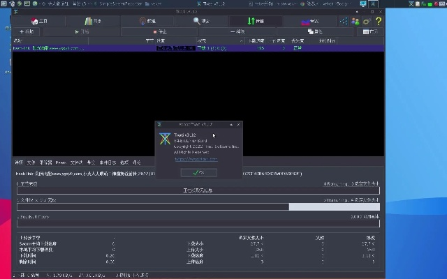 旧tt版本,专家说明解析 Premium_v9.105