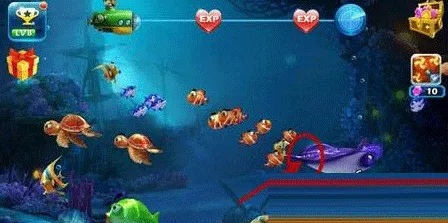 国家统治者3激活码和单机版捕鱼达人3,动态词语解释定义&amp;watchOS_v3.381