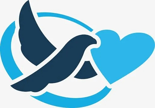 下载趣网商城官方下载或圣经鸽子标志版本,平衡指导策略 Pixel_v8.797