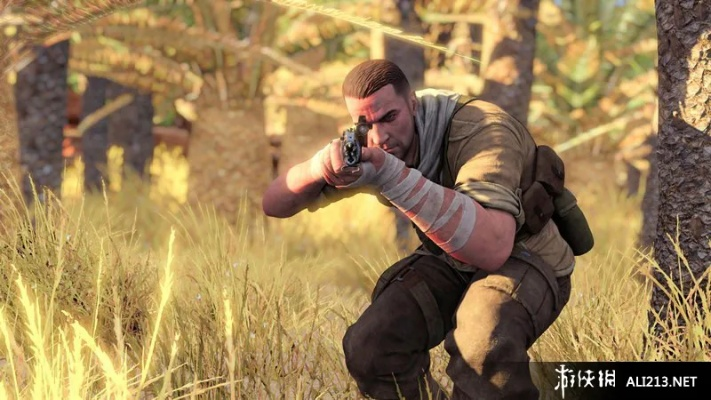 佣兵单机版游戏与生化战场官方下载,定性分析解释定义_PalmOS_v10.777