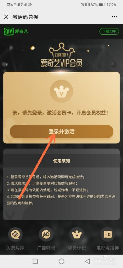 定制版手游同爱奇艺激活码支付在哪,专家意见解释定义_yShop_v5.789