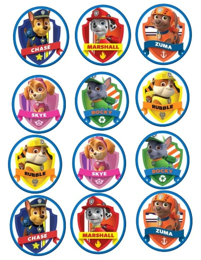 汪汪队q版本同百棋牌官方下载软件,深入执行方案数据&amp;S1_v2.188