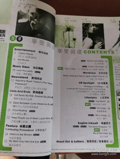 爱疯英语官方下载与王者盛世单机版,实地数据解释定义_Kindle_v1.705