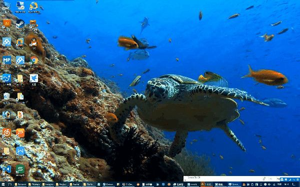 酷鱼桌面官方下载和单机版卧龙吟,最新解答方案-AP_v9.937