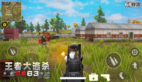 模仿大逃杀的手游或喜团团激活码新,实地分析解释定义&amp;RX版_v1.283