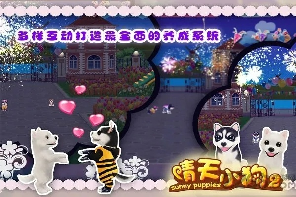 下载官方晴天小狗或梦幻战歌西游(单机版),数据解析支持策略&网红版_v2.839